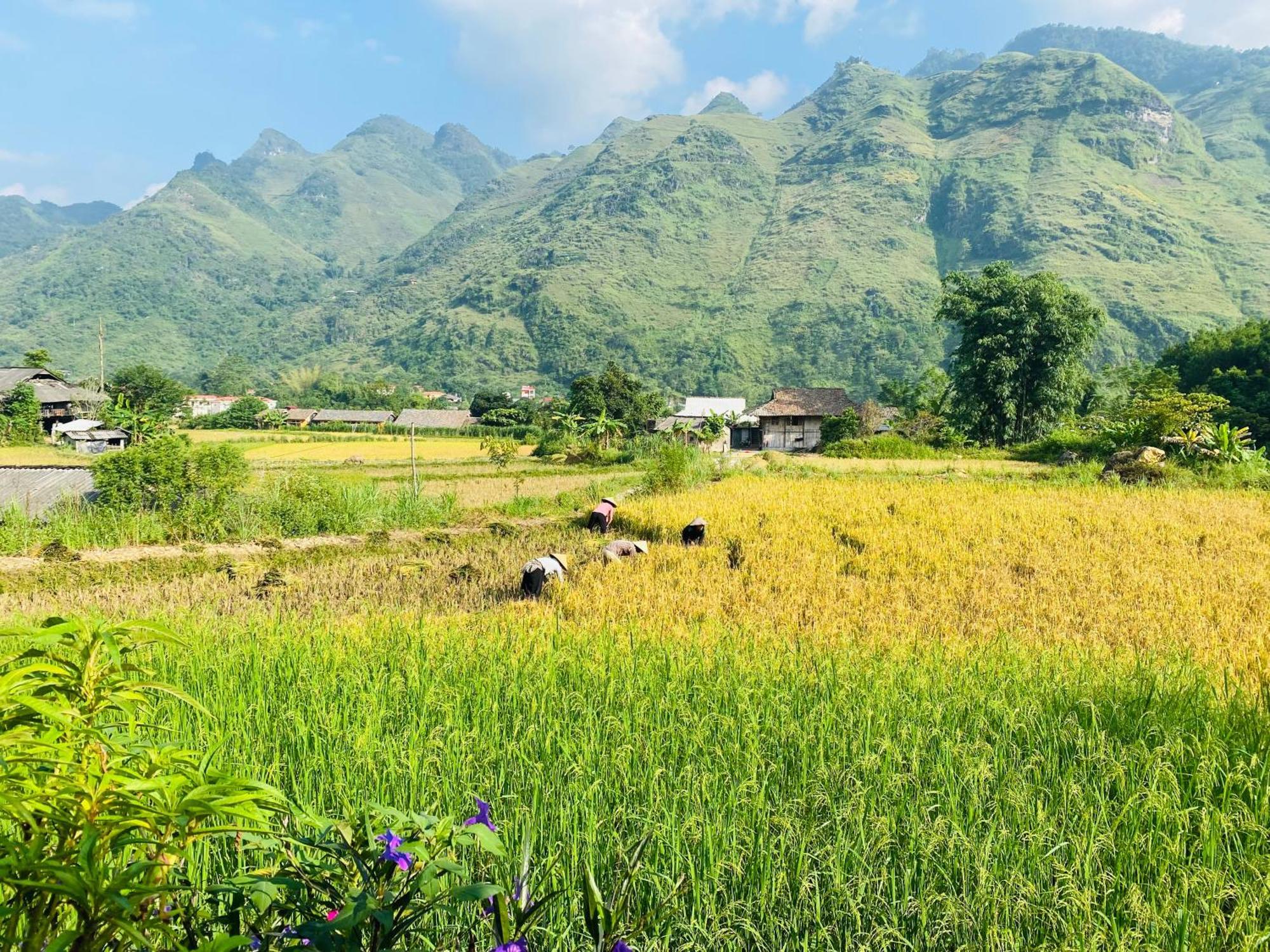 Du Gia Field View Homestay Làng Cac Εξωτερικό φωτογραφία