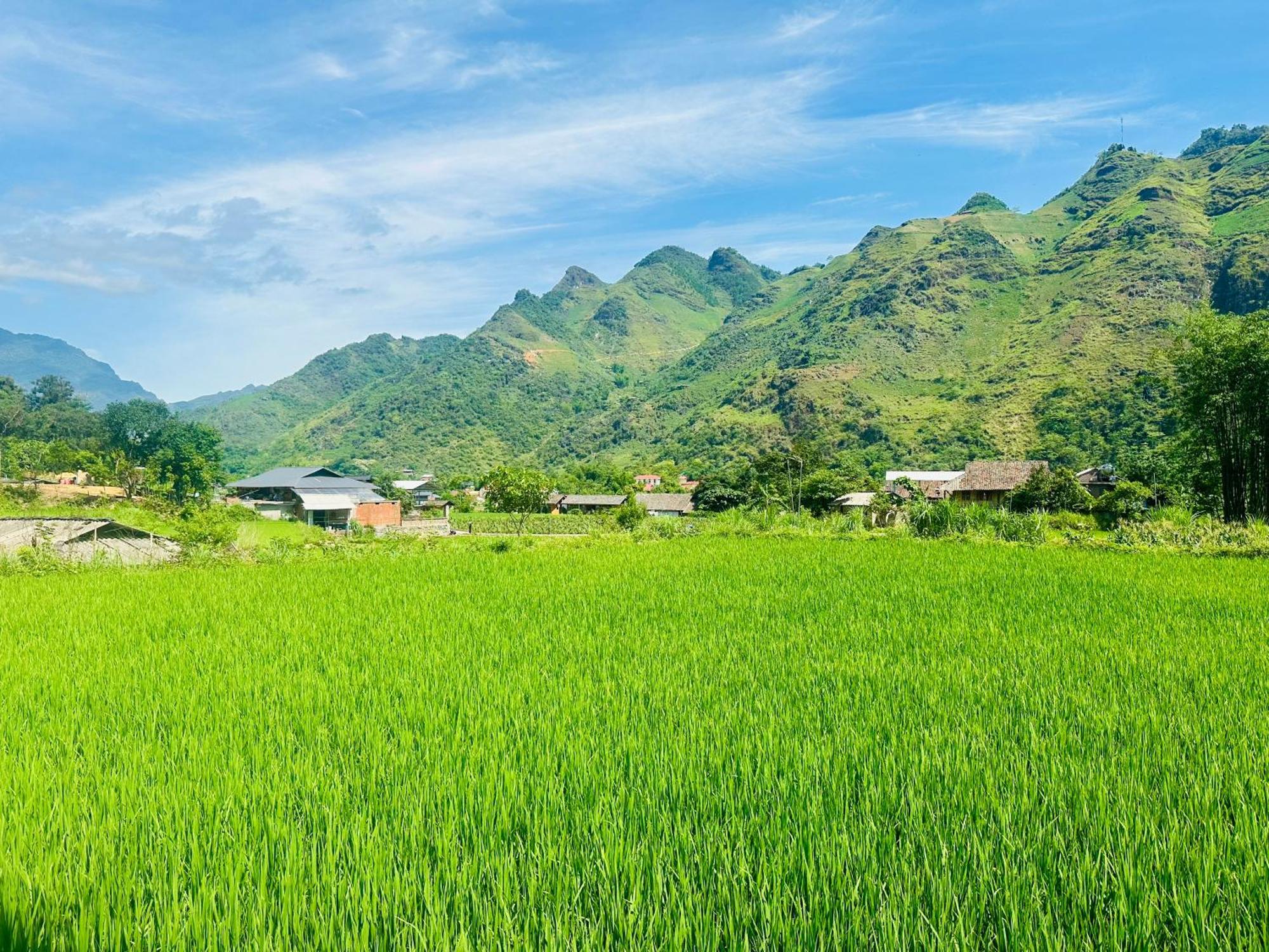 Du Gia Field View Homestay Làng Cac Εξωτερικό φωτογραφία